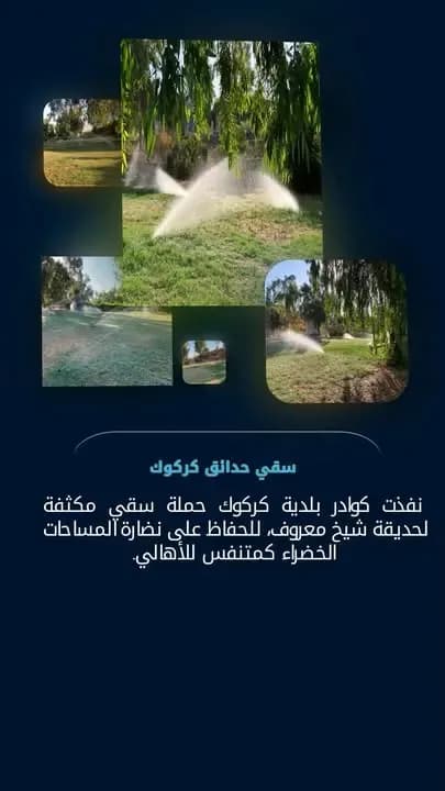نرى ما لا يرى.