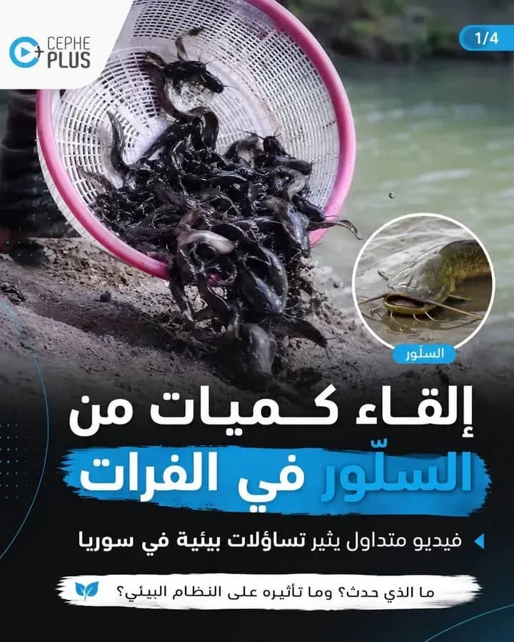 مو كل إطلاق للأسماك يعني دعماً للبيئة!